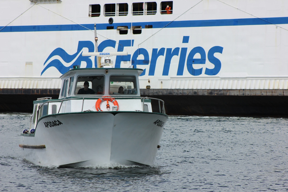 Ferry information desk with helpful staff providing travel assistance