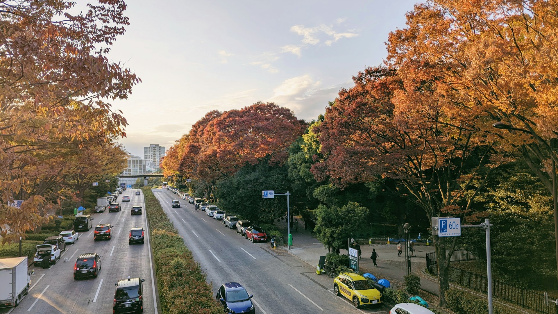 Hertz Review 2026 ferry service hero image